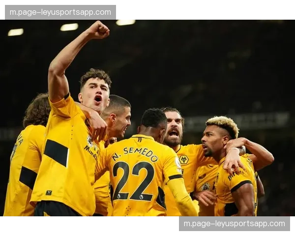 布伦特福德44球中运动战占32球 达姆斯高成进攻核心